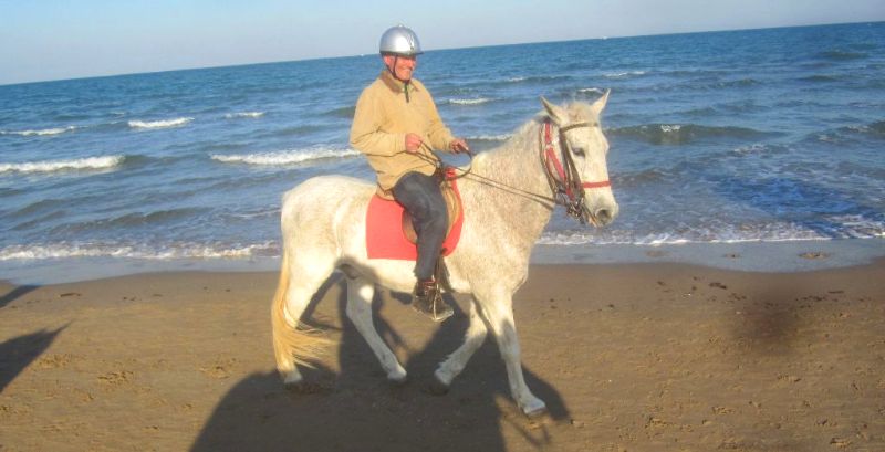 Reitunterricht am Strand